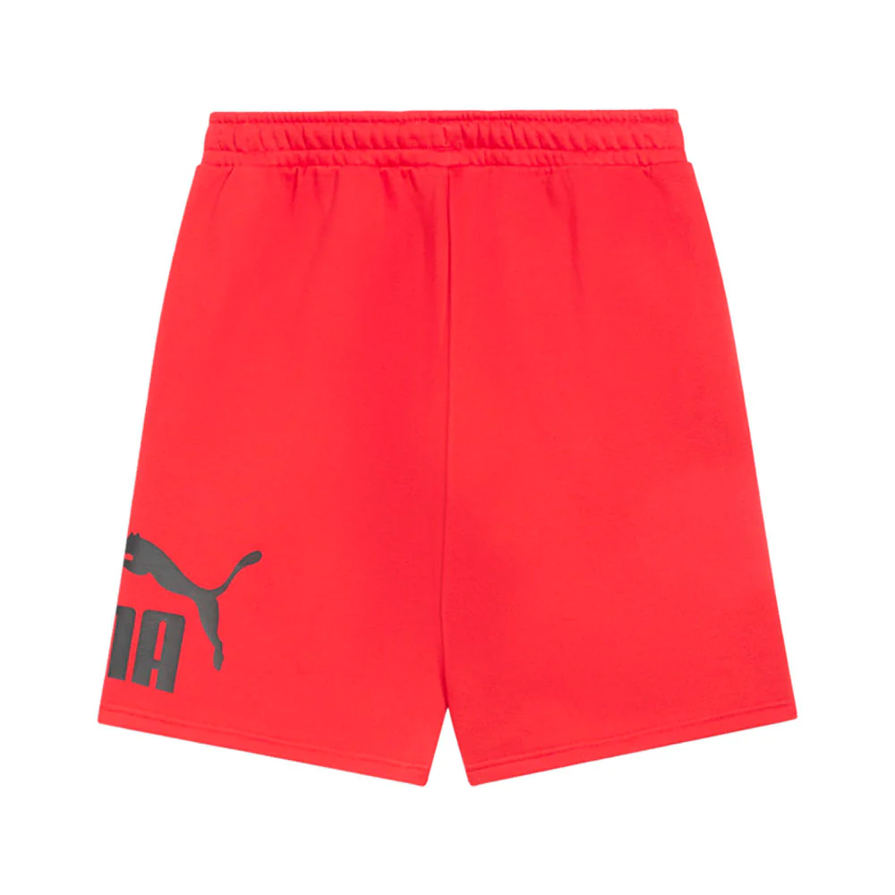 Big Logo Fleece Drawstring 10 Inch Shorts - Image 2